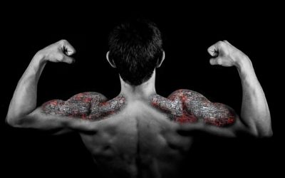 The Three Fundamentals of Building Muscle, Part I: Volume