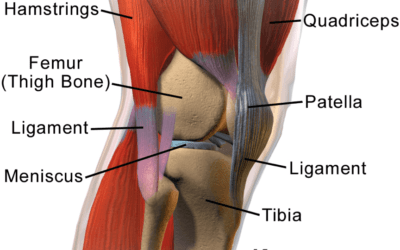 Knee pain – Why do My Knees Hurt? – An Overview of Knee Pain