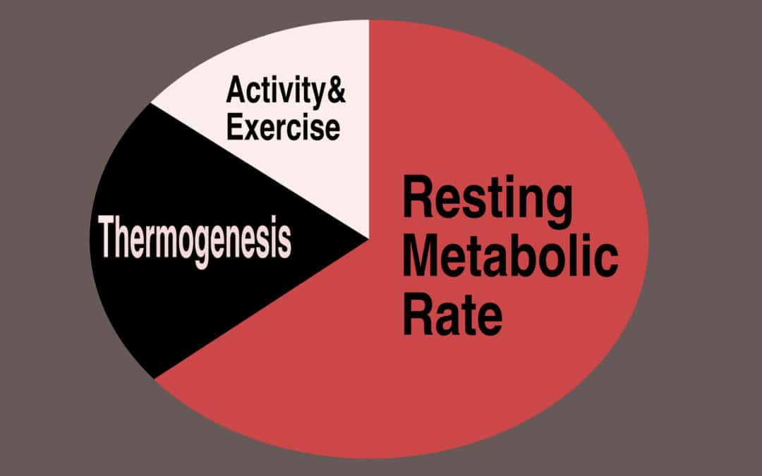 Metabolism: Why Burning Calories isn’t the Answer