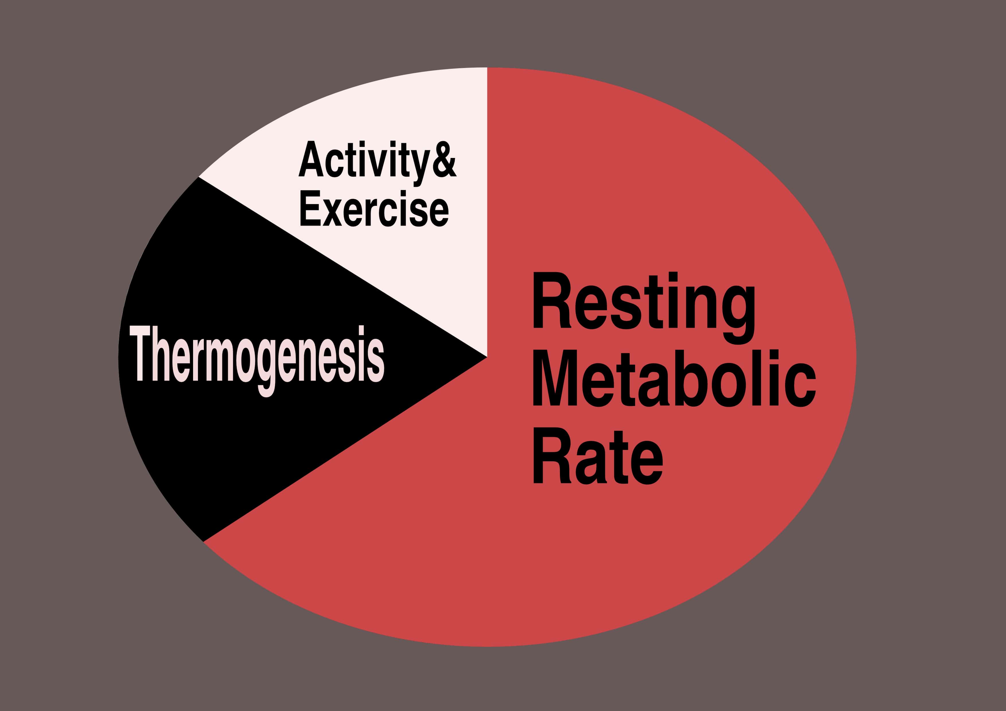 how to increase your resting metabolic rate